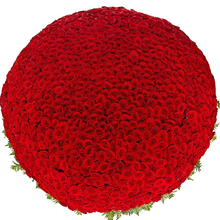 Laden Sie das Bild in den Galerie-Viewer, 1001 Rote Rosen
