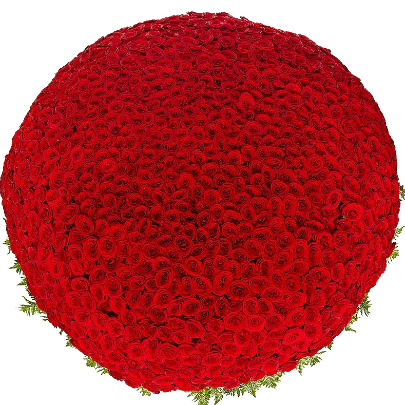 1001 Rote Rosen