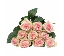 Laden Sie das Bild in den Galerie-Viewer, 10 Premium-Rosen Sweet Dolomiti (Rosa)