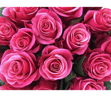 Laden Sie das Bild in den Galerie-Viewer, 10 Rosen Tacazzi+ (Pink)