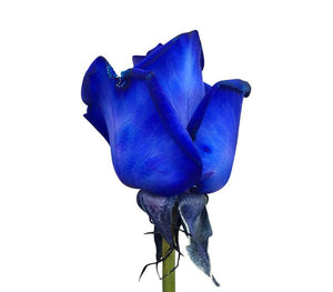 Rosen Blau